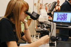Student at microscope