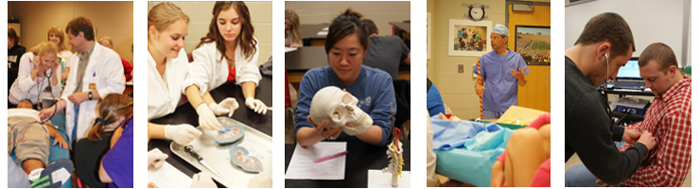Collage of students and faculty in anatomy laboratory