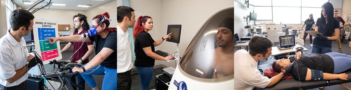 Health assessment and exercise testing in the Exercise Physiology Lab